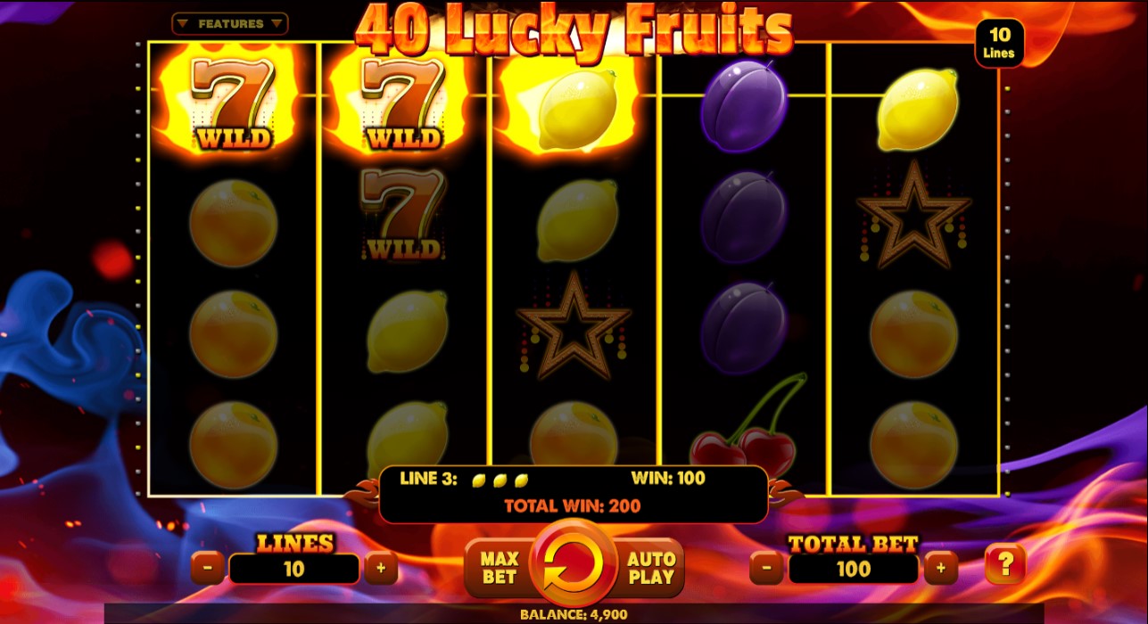 40 Lucky Fruits slots game